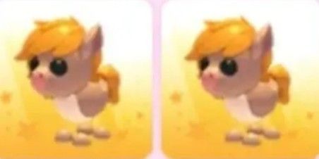 Show pony + bonus