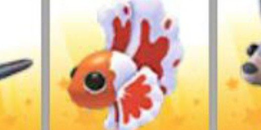 Orange betta fish + bonus