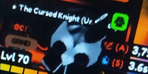 igris/ The cursed knight evo