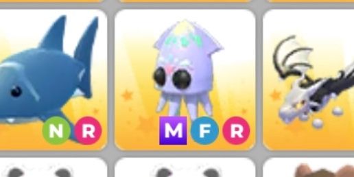 MFR Squid