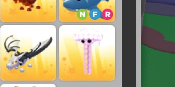 Jellyfish