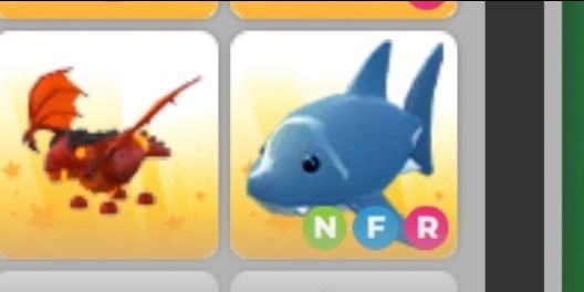 NFR Shark