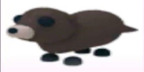 Buy Pet OTTER - ADOPT ME Adopt Me Roblox Trading Hub 2842326 | itemku