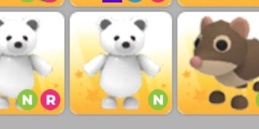 N Polar Bear
