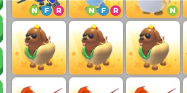 Hotdoggo