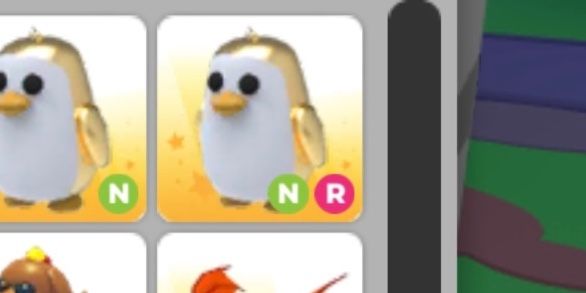 NR Golden Penguin