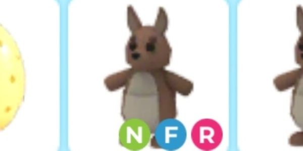 Kangaroo NFR