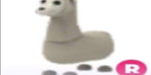 Buy Pet LLAMA R - ADOPT ME Adopt Me Roblox Trading Hub 2844114 | itemku