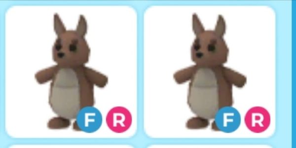 FR Kangaroo - Adopt Me
