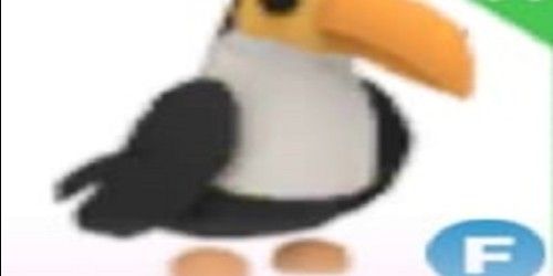 TOUCAN F - ADOPT ME