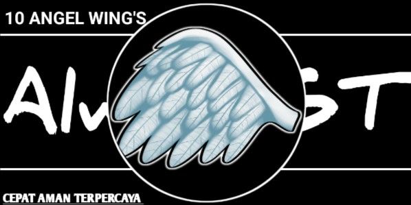 MATERIAL 10 ANGEL WING'S