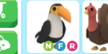 Toucan NFR