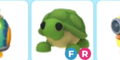 FR Turtle