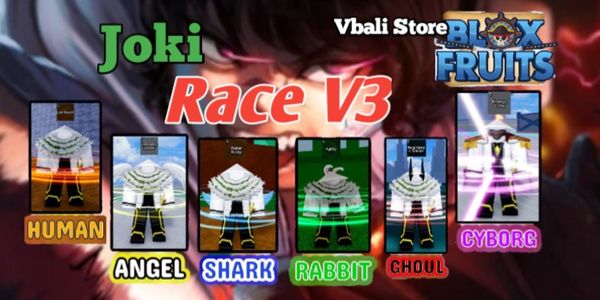 Jasa Race V3