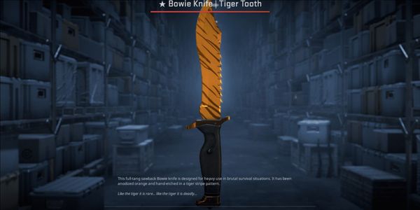 Bowie Knife | Tiger Tooth