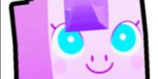 Pony