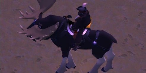 Moose (Ireang Deer)