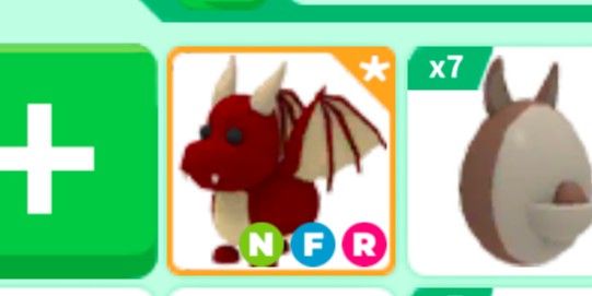 NFR DRAGON