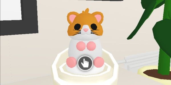Normal Hamsters