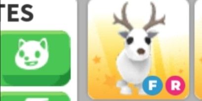 FR ARCTIC REINDEER