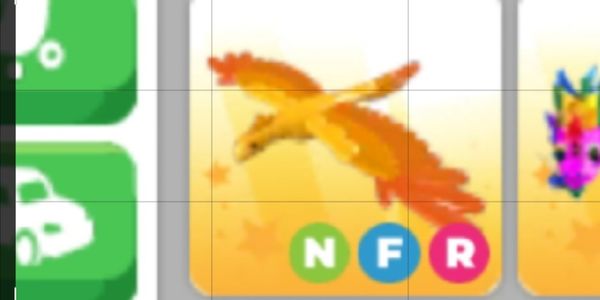 NFR PHOENIX
