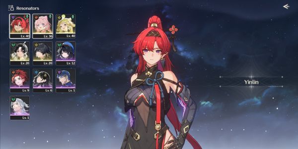 YINLIN + ENCORE R1 + VERINA + JIANXIN + 10 ROLL SELECTOR BONUS SELECTOR OFF MC CEWE