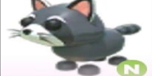 Beli Pet RACCOON N - ADOPT ME Adopt Me Roblox Trading Hub Terlengkap ...