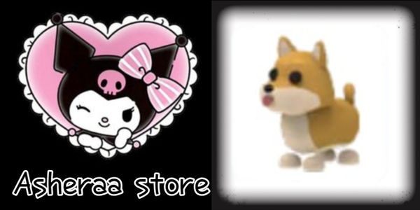 Shiba Inu - Adopt Me