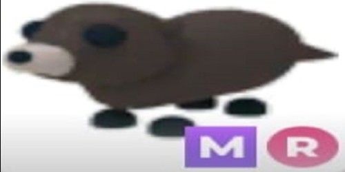 Beli Pet OTTER MR - ADOPT ME Adopt Me Roblox Trading Hub Terlengkap dan