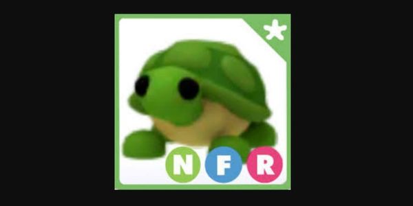 NFR Turtle