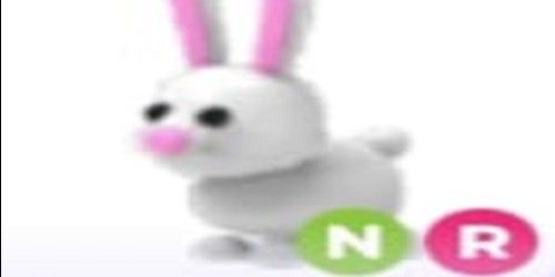 Buy Pet BUNNY NR - ADOPT ME Adopt Me Roblox Trading Hub 2877310 | itemku