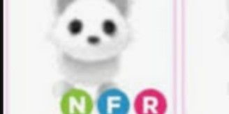 NFR arctic fox