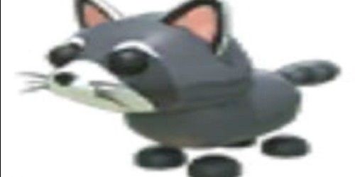 Beli Pet RACCOON - ADOPT ME Adopt Me Roblox Trading Hub Terlengkap dan ...