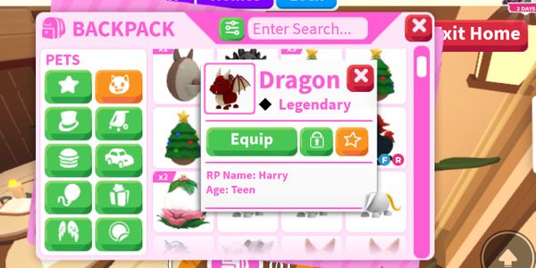Dragon (Pet Adopt Me)
