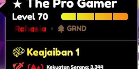 SJW / The Pro Gamer