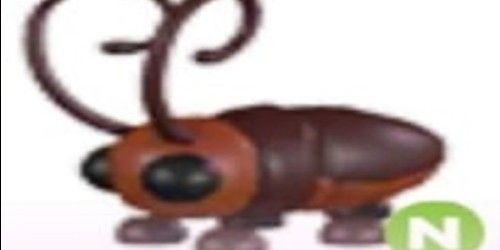 Beli Pet COCKROACH N - ADOPT ME Adopt Me Roblox Trading Hub Terlengkap ...
