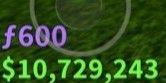 Belly 10m