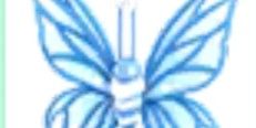 Birthday Butterfly 2024