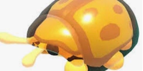 golden tortoise beetle