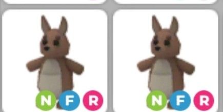 NFR Kangaroo