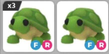 FR Turtle