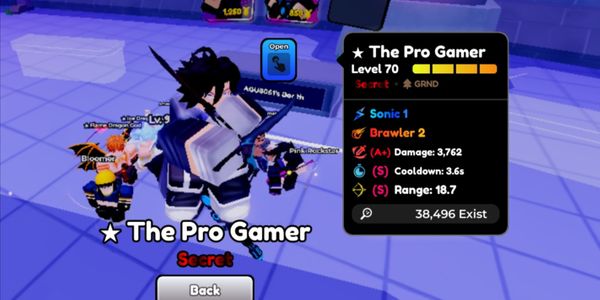 Sung Jin Wo (SJW/ The Pro Gamer)