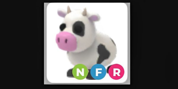 NFR Cow