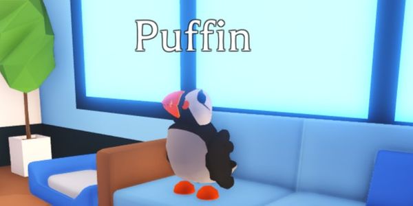 Pension! Puffins | Adopt Me