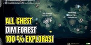 Dim Forest Exploration