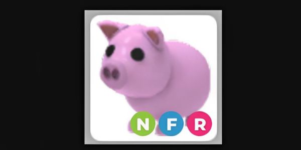 NFR Pig