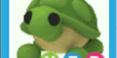 NFR Turtle