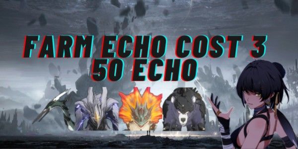 Farm Echo Cost 3