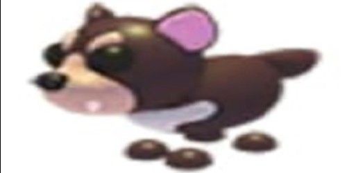 Buy Pet TASMANIAN DEVIL - ADOPT ME Adopt Me Roblox Trading Hub 2864091