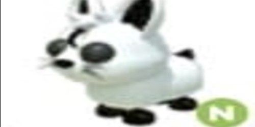 Beli Pet MOON RABBIT N - ADOPT ME Adopt Me Roblox Trading Hub ...